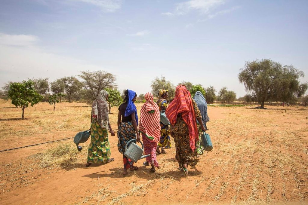 Fotografía de Marta Moreiras, parte de la exposición ‘A la sombra de las acacias’, que puede visitarse en Casa África y muestra el trabajo de una comunidad peul al norte de Senegal contra la desertificación ocasionada por el cambio climático.